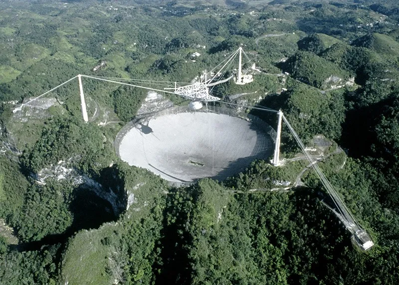 The Arecibo Response